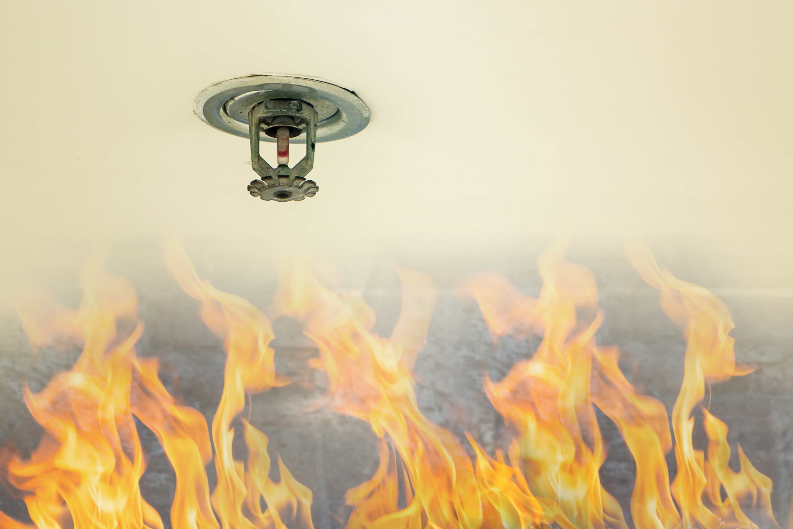 Fire Sprinkler